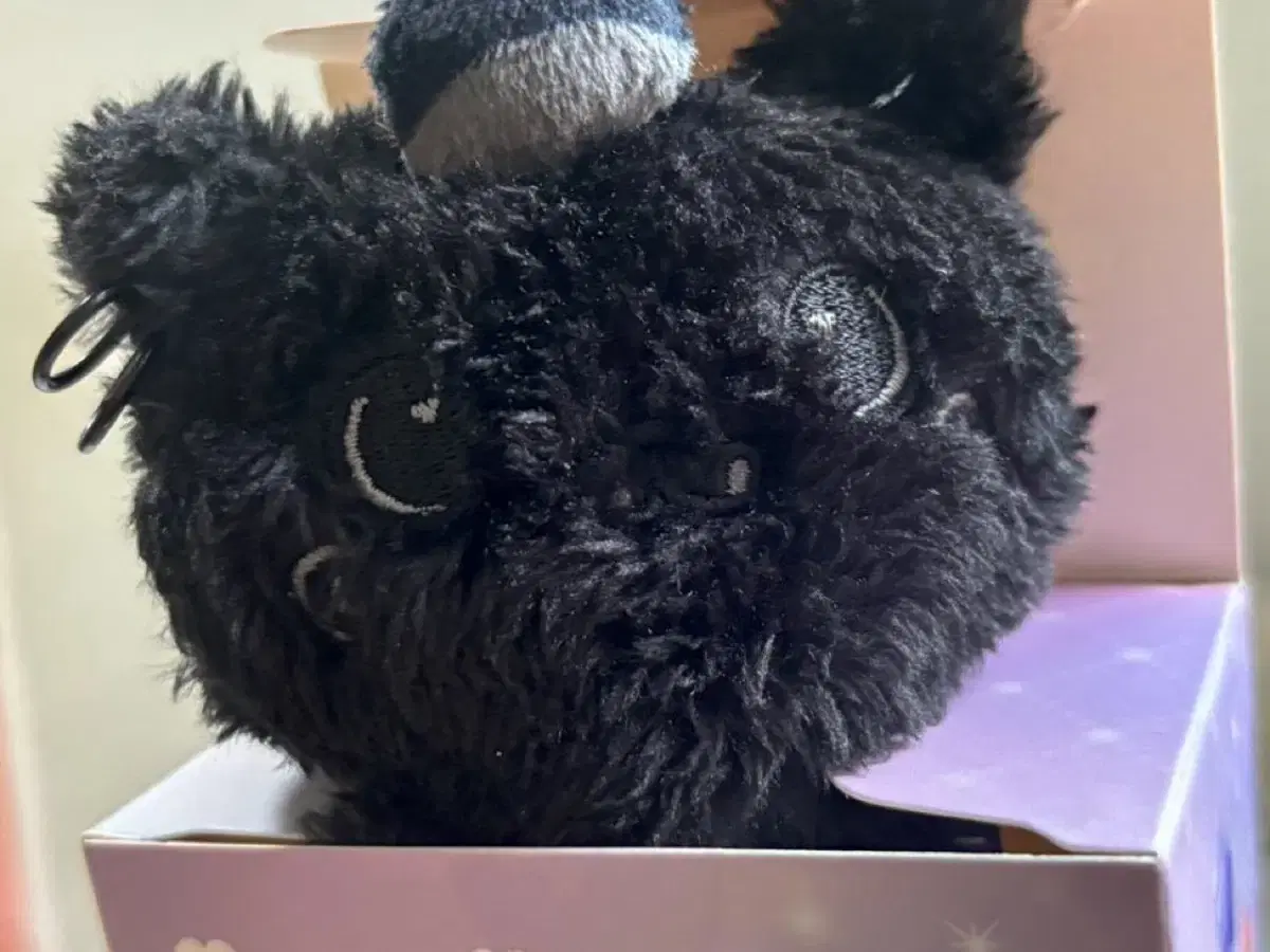 NCT WISH RIKU ぬいぐるみ NCT WISH Doll Riku Official MD 100% Authentic Kuri Plush NEW